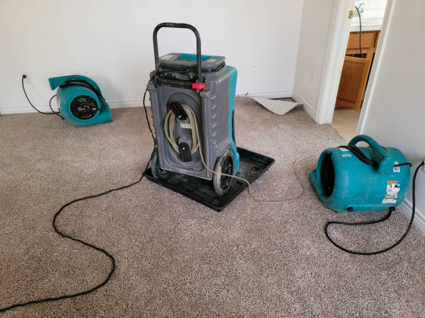 Professional Water damage restoration in Grayville, IL