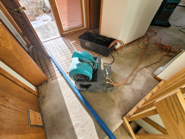 Best Basement water damage restoration  in Grayvle, IL