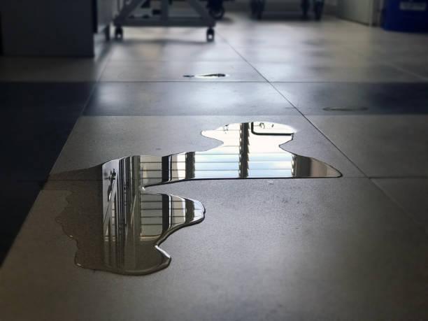 Best Water damage cleanup near me  in Grayvle, IL