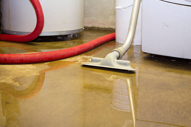 Best Local water damage restoration  in Grayvle, IL