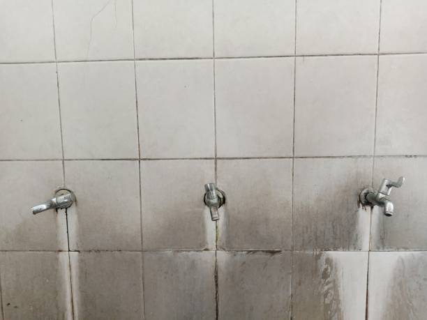 Carpet water damage restoration in Grayville, IL