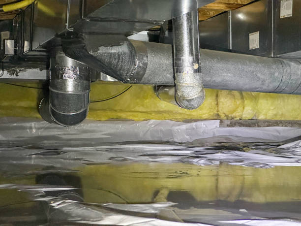 Best Mold removal after water damage  in Grayvle, IL
