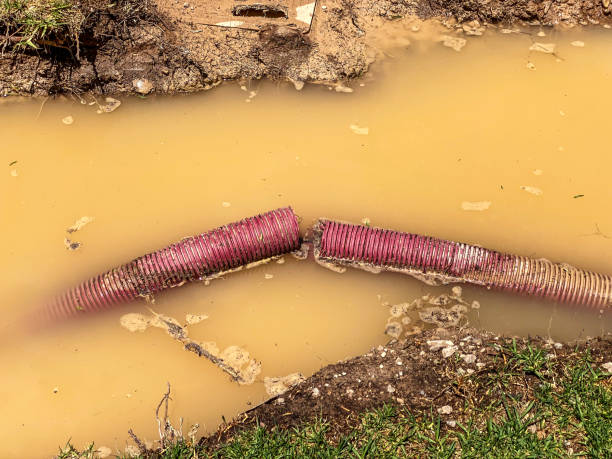  Grayvle, IL Water damage restoration Pros
