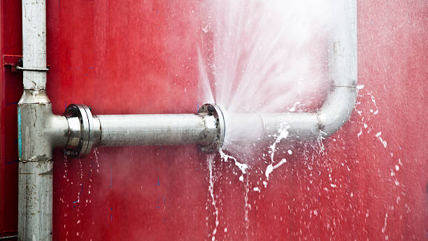 Best 24-hour water damage restoration  in Grayvle, IL