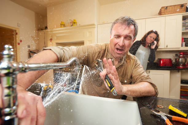 Best Flooded house restoration  in Grayvle, IL